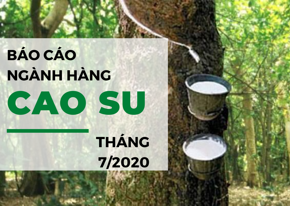 Báo cáo ngành hàng cao su tháng 7/2020: Xuất khẩu giảm mạnh sang Ấn Độ